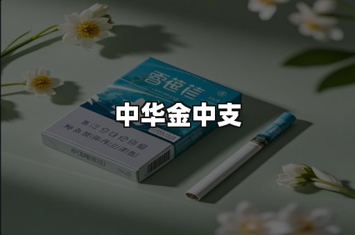中华金中支